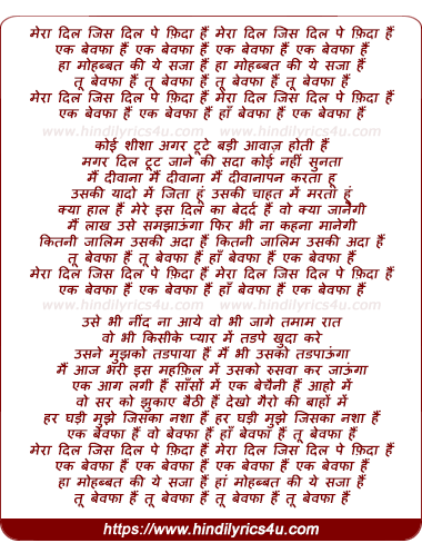 lyrics of song Ek Bewafa Hai Ha Bewafa Hai