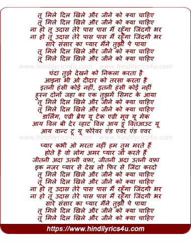 lyrics of song Too Mile Dil Khile