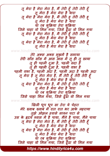 lyrics of song Tu Mera Hai
