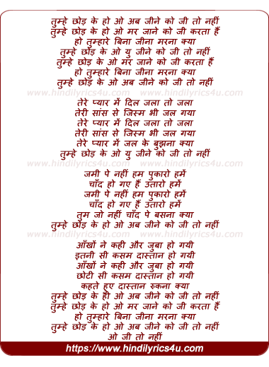lyrics of song Tumhe Chhod Ke Ab Jine Ko Jee To Nahee