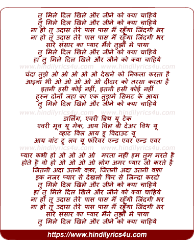 lyrics of song Tu Mile Dil Khile Aur Jine Ko Kyaa Chaahiye
