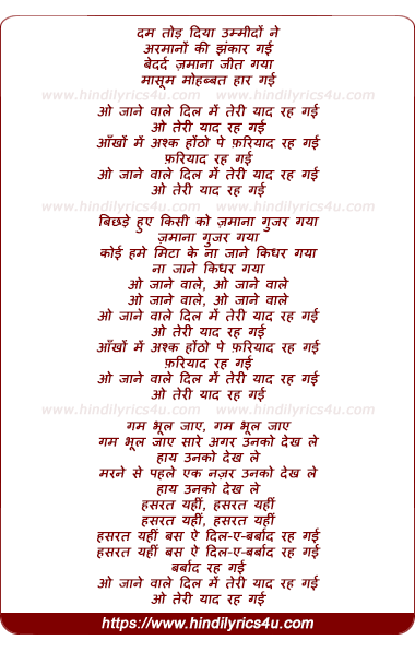 lyrics of song O Janewaale Dil Me Teri Yad Rah Gayi